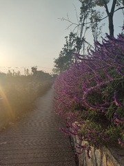 1000039513