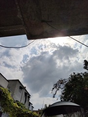 1000061317