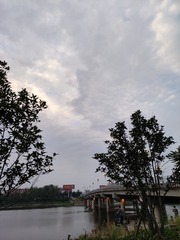 1000056228