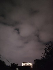 1000062298