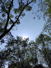 1000062599