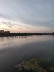 1000061722