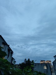 1000057690