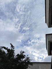 1000056570