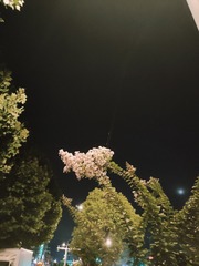 1000057993