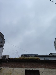 1000060537