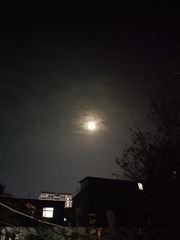 1000039062