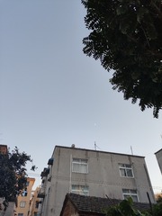 1000058980