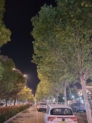 1000070622