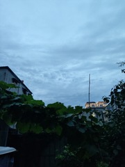 1000057685