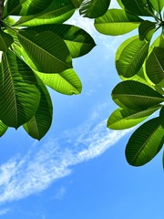 83F5E1CA-0234-4818-BEE4-AC66B4431765/L0/001