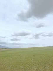 496639