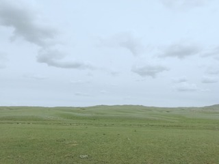 496638