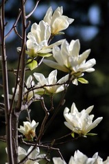 DSC_1682.jpg