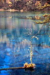 IMG_0213_