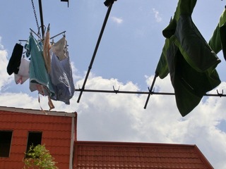 CIMG0209.JPG