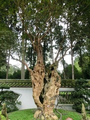 CIMG0095.JPG