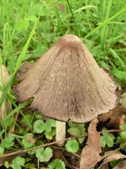 CIMG0184.JPG