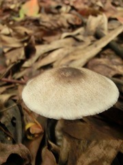 CIMG0187.JPG