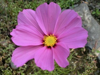CIMG0289.JPG