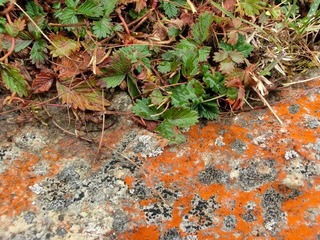 CIMG0425.JPG