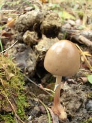 CIMG0459.JPG