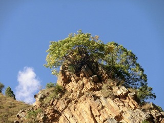 CIMG0496.JPG