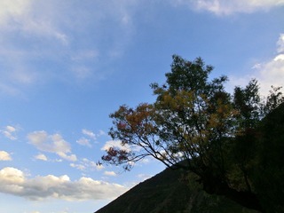 CIMG0513.JPG