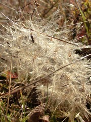 CIMG0554.JPG