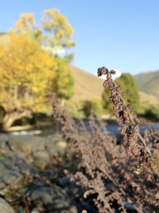 CIMG0620.JPG