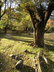 CIMG0628.JPG