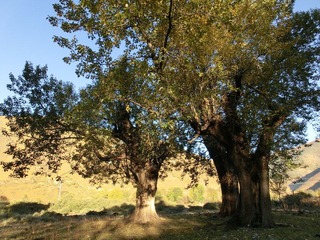 CIMG0630.JPG