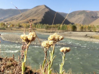CIMG0654.JPG