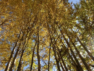 CIMG0658.JPG
