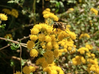 CIMG0494.JPG