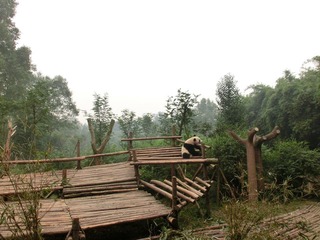 CIMG0735.JPG