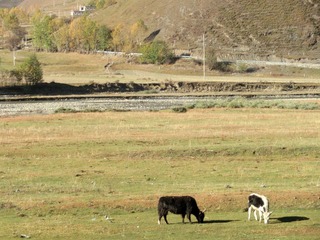CIMG0649.JPG