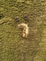 IMG_20121014_123624.jpg