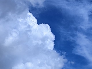 1000015041