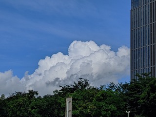 1000014469