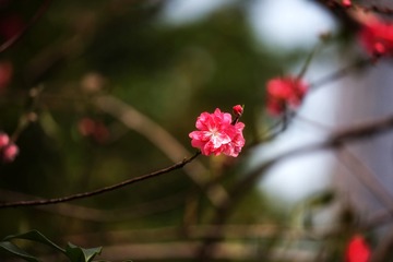 1402200