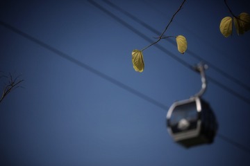 393071