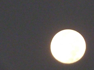 CC7304F1-9A18-4271-A8B0-6636B325A5BF/L0/001