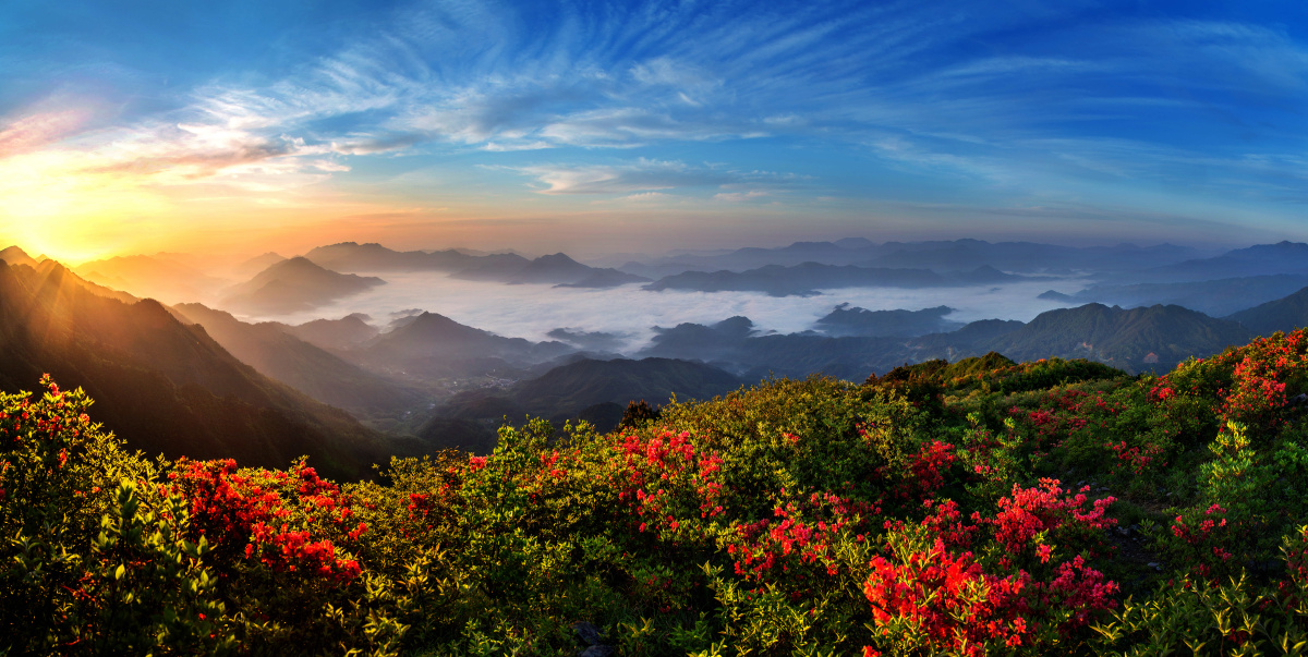 云蒸霞蔚杜鹃舞