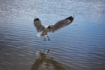 IMG_2711-2.jpg