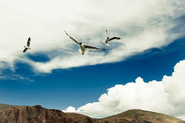 IMG_2701-2.jpg