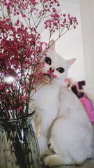 150753