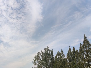 1000046585