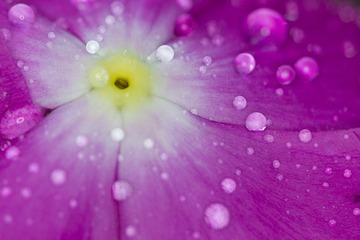 IMG_3572.jpg