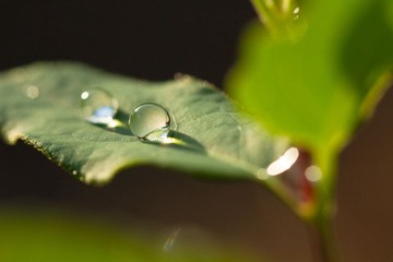 IMG_3611.jpg
